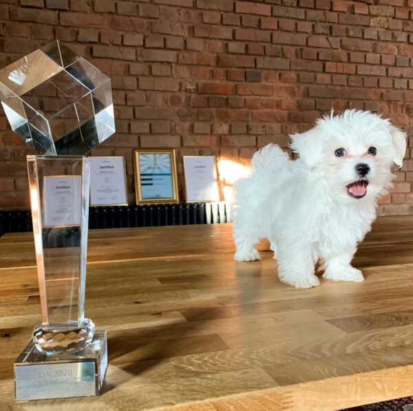 Gewinner des Deutschen Agenturpreis 2020